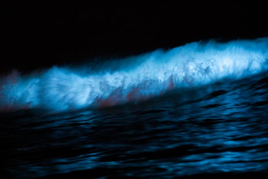 The Mysterious World of Bioluminescent Organisms