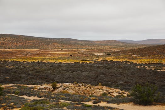 Hidden Ecosystems of the Desert